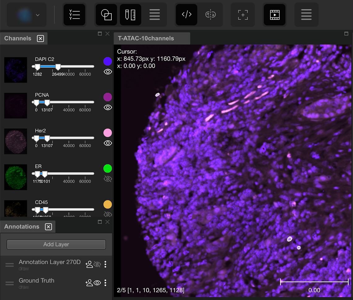 a screenshot of the viewer